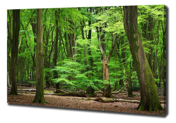 Pictură pe pânză pădure olandeză