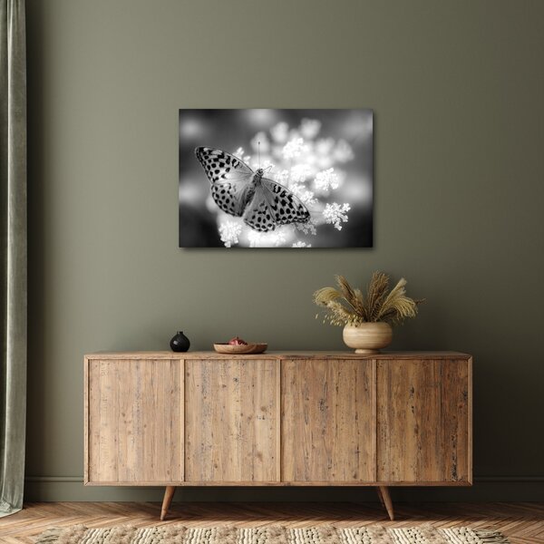 Tablou - Detailu cu fluture care polenizează floare (70x50 cm)