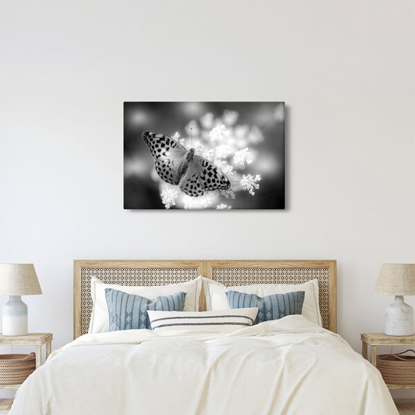 Tablou - Detailu cu fluture care polenizează floare (90x60 cm)