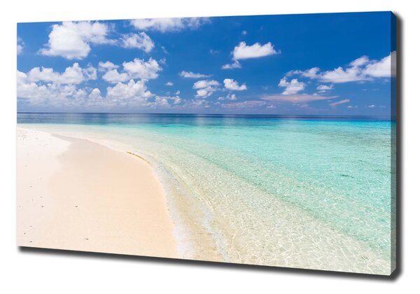 Print pe canvas Plajă în Maldive