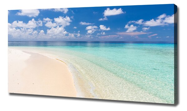 Print pe canvas Plajă în Maldive