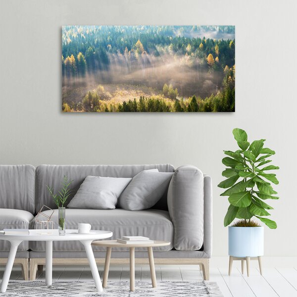 Tablou canvas Ceață în pădure