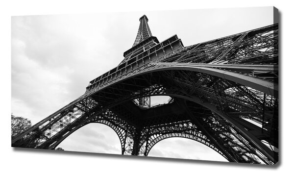 Tablou pe pânză Turnul Eiffel din Paris