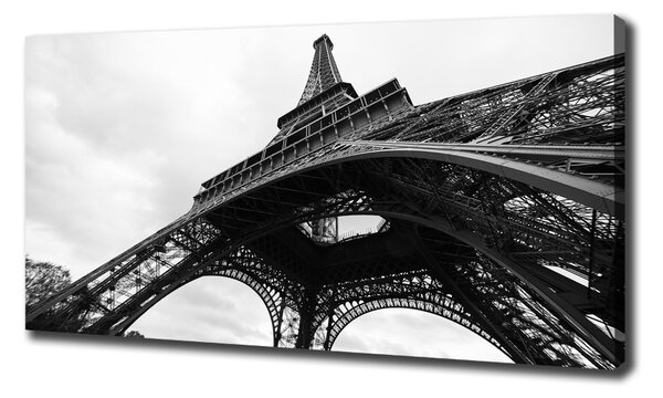 Tablou pe pânză Turnul Eiffel din Paris