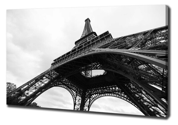 Tablou pe pânză Turnul Eiffel din Paris