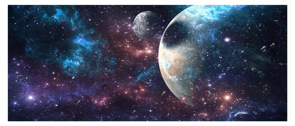 Tablou cu cosmos (120x50 cm)