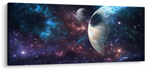 Tablou cu cosmos (120x50 cm)