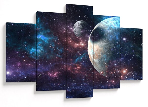 Tablou cu cosmos (150x105 cm)
