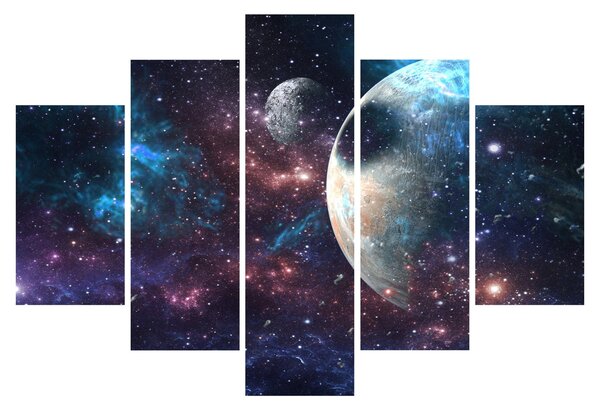 Tablou cu cosmos (150x105 cm)
