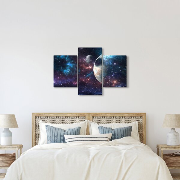 Tablou cu cosmos (90x60 cm)