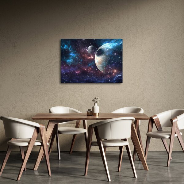 Tablou cu cosmos (70x50 cm)