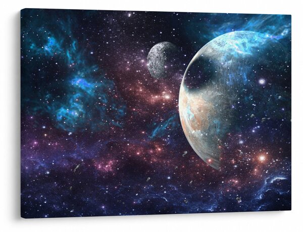 Tablou cu cosmos (70x50 cm)
