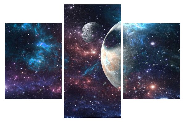 Tablou cu cosmos (90x60 cm)