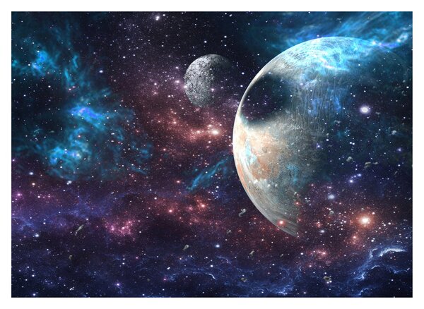 Tablou cu cosmos (70x50 cm)