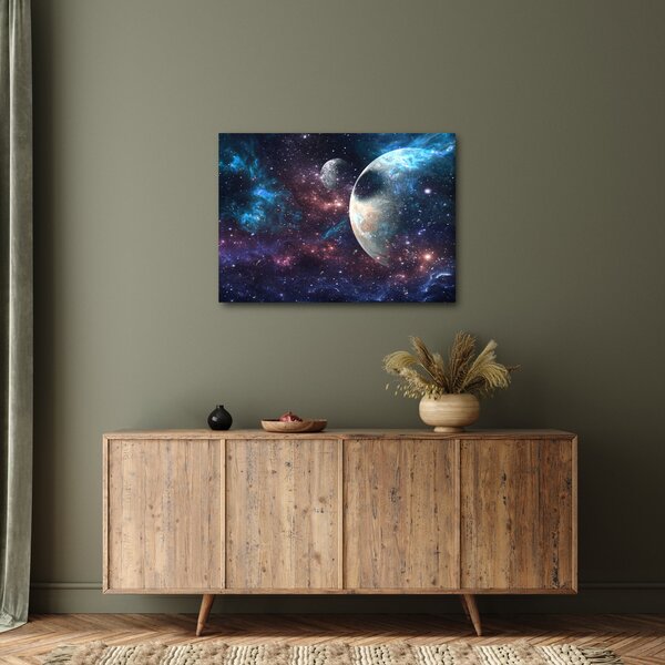 Tablou cu cosmos (70x50 cm)