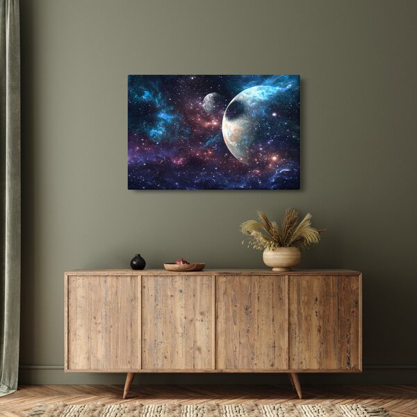 Tablou cu cosmos (90x60 cm)