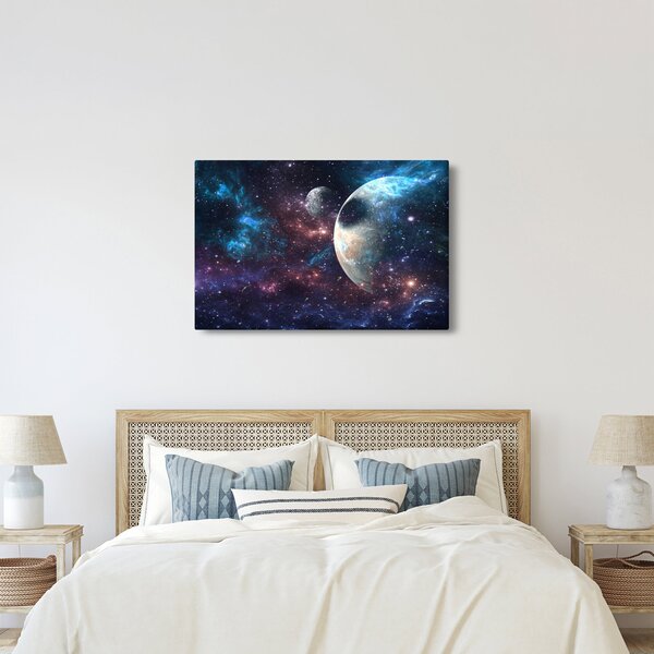 Tablou cu cosmos (90x60 cm)