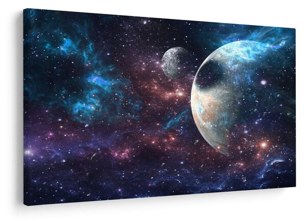 Tablou cu cosmos (90x60 cm)