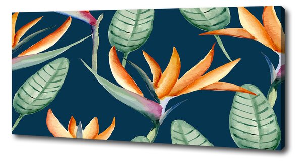 Tablou pe pânză Strelitzia reginae