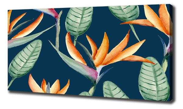 Tablou pe pânză Strelitzia reginae