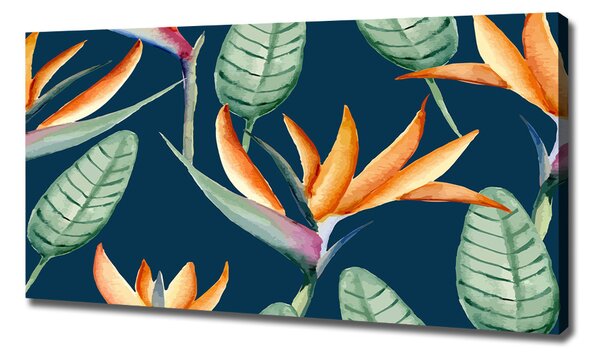 Tablou pe pânză Strelitzia reginae