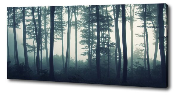 Imprimare tablou canvas Pădure în ceață