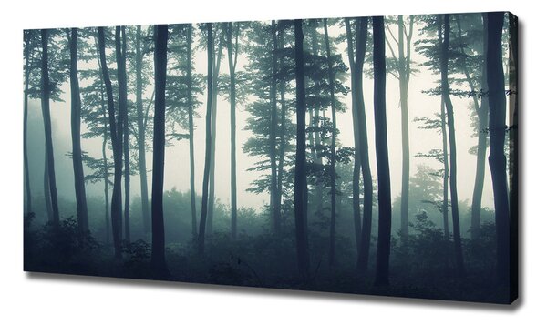 Imprimare tablou canvas Pădure în ceață