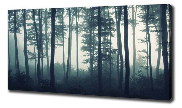 Imprimare tablou canvas Pădure în ceață