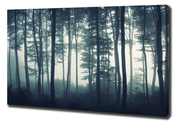 Imprimare tablou canvas Pădure în ceață