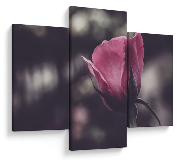 Tablou - Detaliu florii de trandafir (90x60 cm)