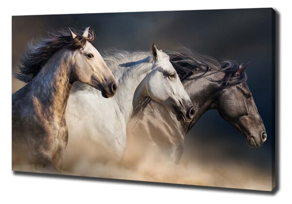 Print pe canvas galopantă Cai