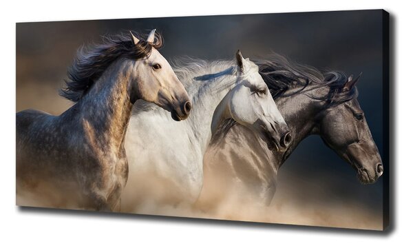 Print pe canvas galopantă Cai
