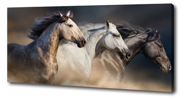 Print pe canvas galopantă Cai