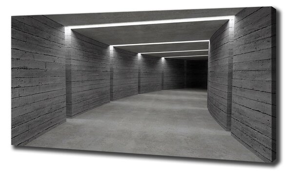 Tablou canvas Tunelul de beton