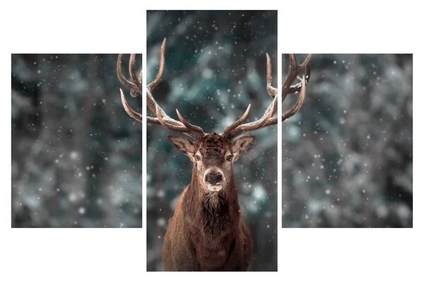 Tablou - Cerbul majestic (90x60 cm)
