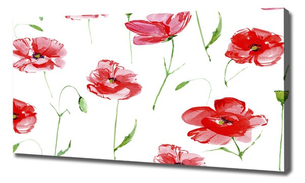 Tablou canvas Maki