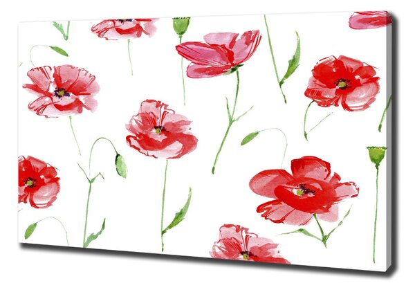 Tablou canvas Maki