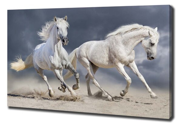 Tablou canvas White Beach Horse