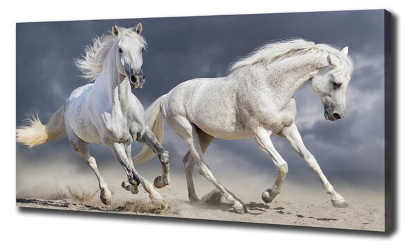 Tablou canvas White Beach Horse