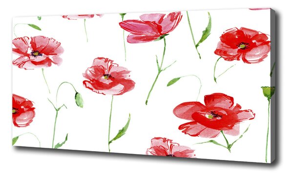 Tablou canvas Maki