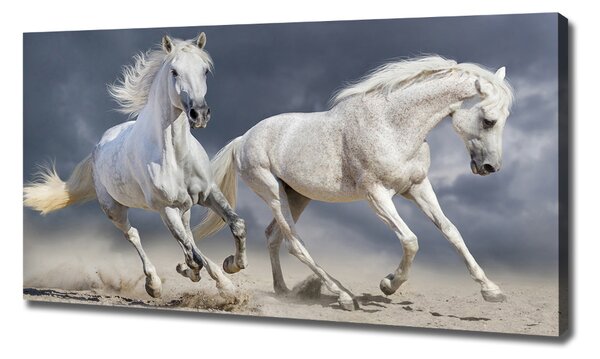Tablou canvas White Beach Horse