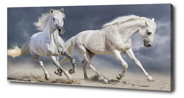Tablou canvas White Beach Horse