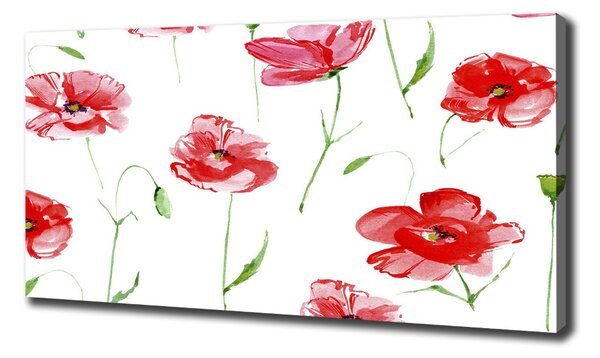 Tablou canvas Maki