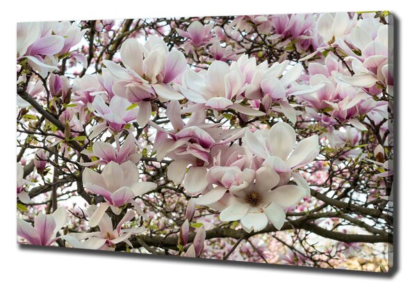 Tablouri tipărite pe pânză flori magnolia