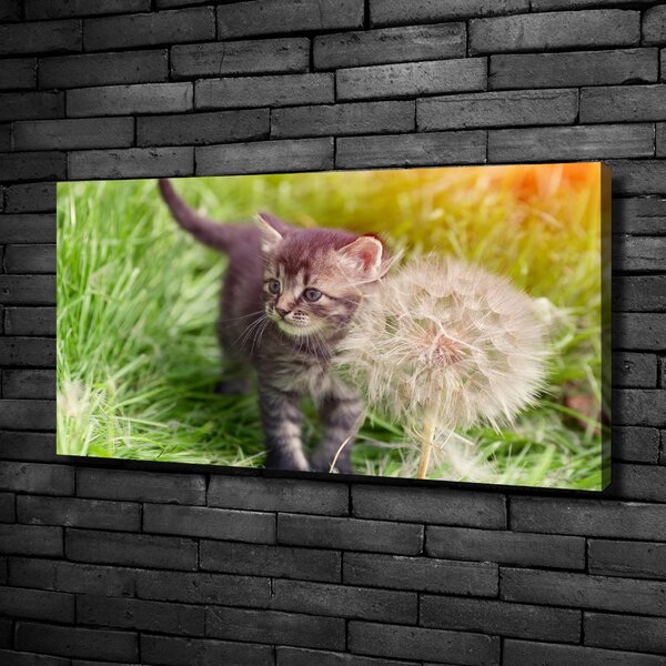 Tablou canvas Pisoi cu păpădia