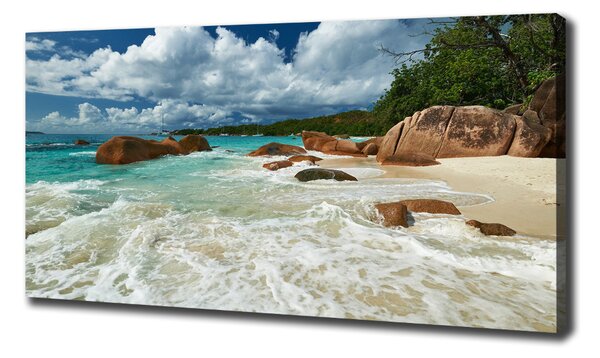 Tablou pe pânză plaja Seychelles