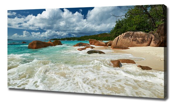 Tablou pe pânză plaja Seychelles