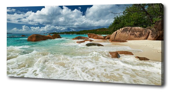 Tablou pe pânză plaja Seychelles