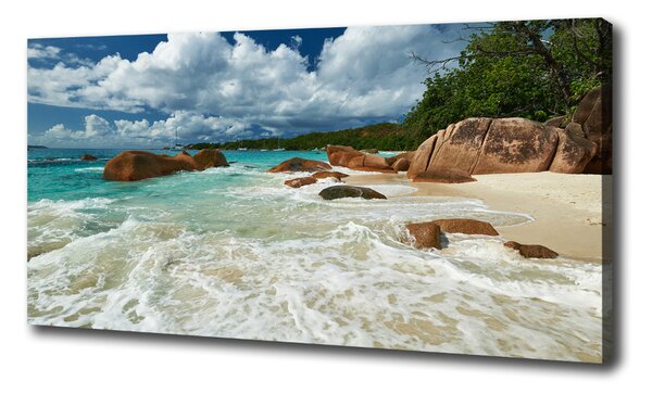 Tablou pe pânză plaja Seychelles
