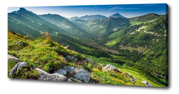 Tablou pe pânză Zori în munții Tatra